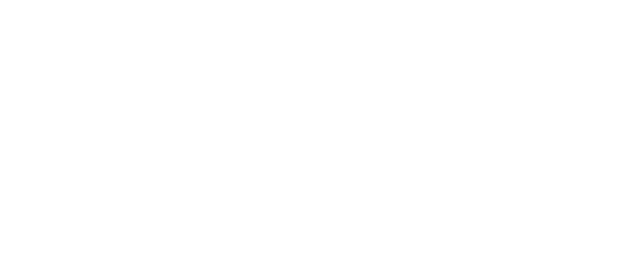 Proyecto Beta